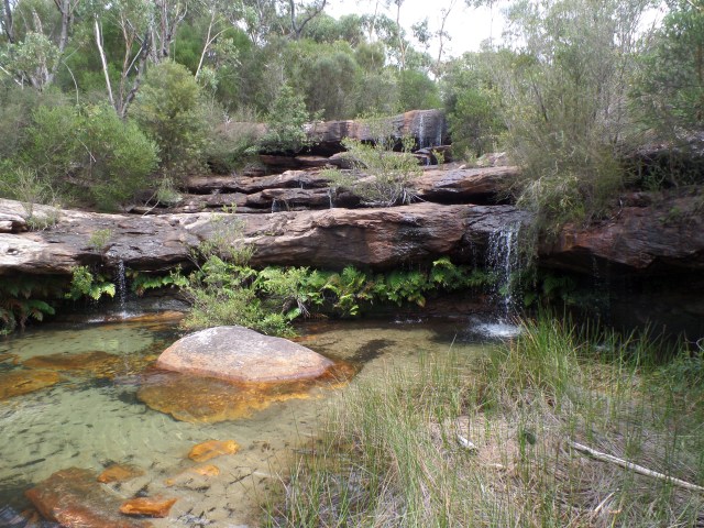 SAMSUNG CAMERA PICTURES